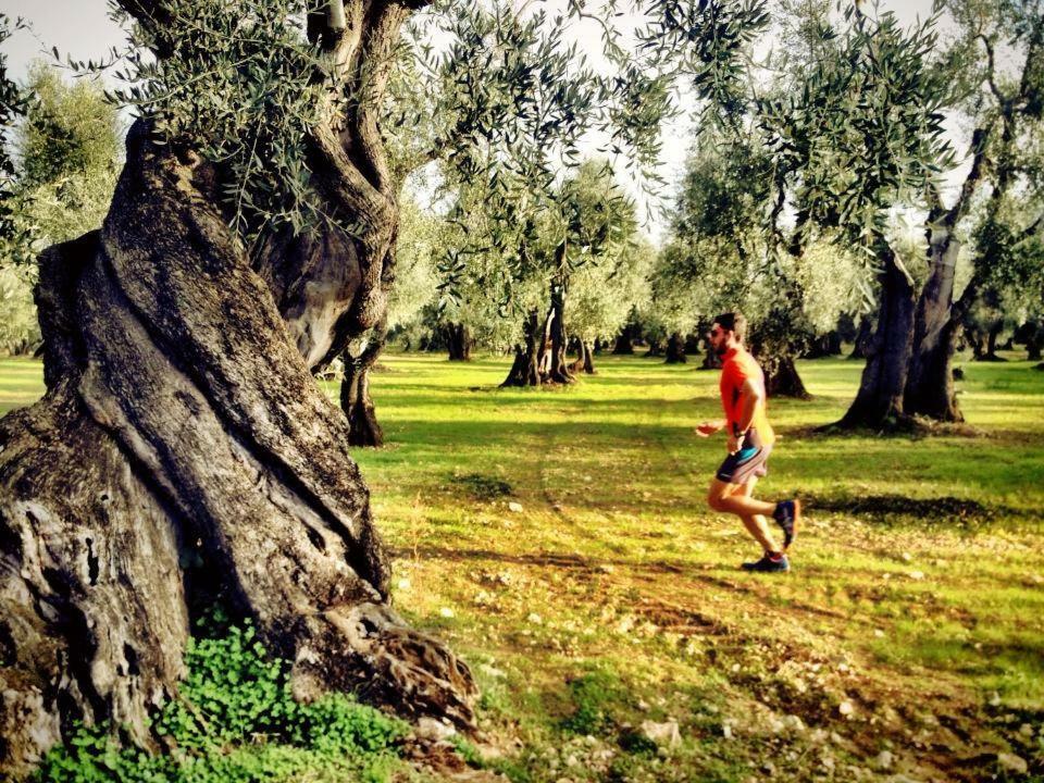 Casa Vacanze MARESOLE Villa Mattinata Esterno foto