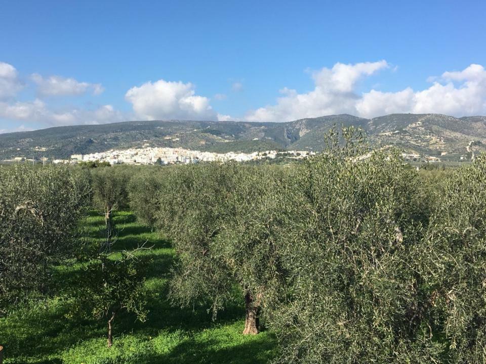 Casa Vacanze MARESOLE Villa Mattinata Esterno foto