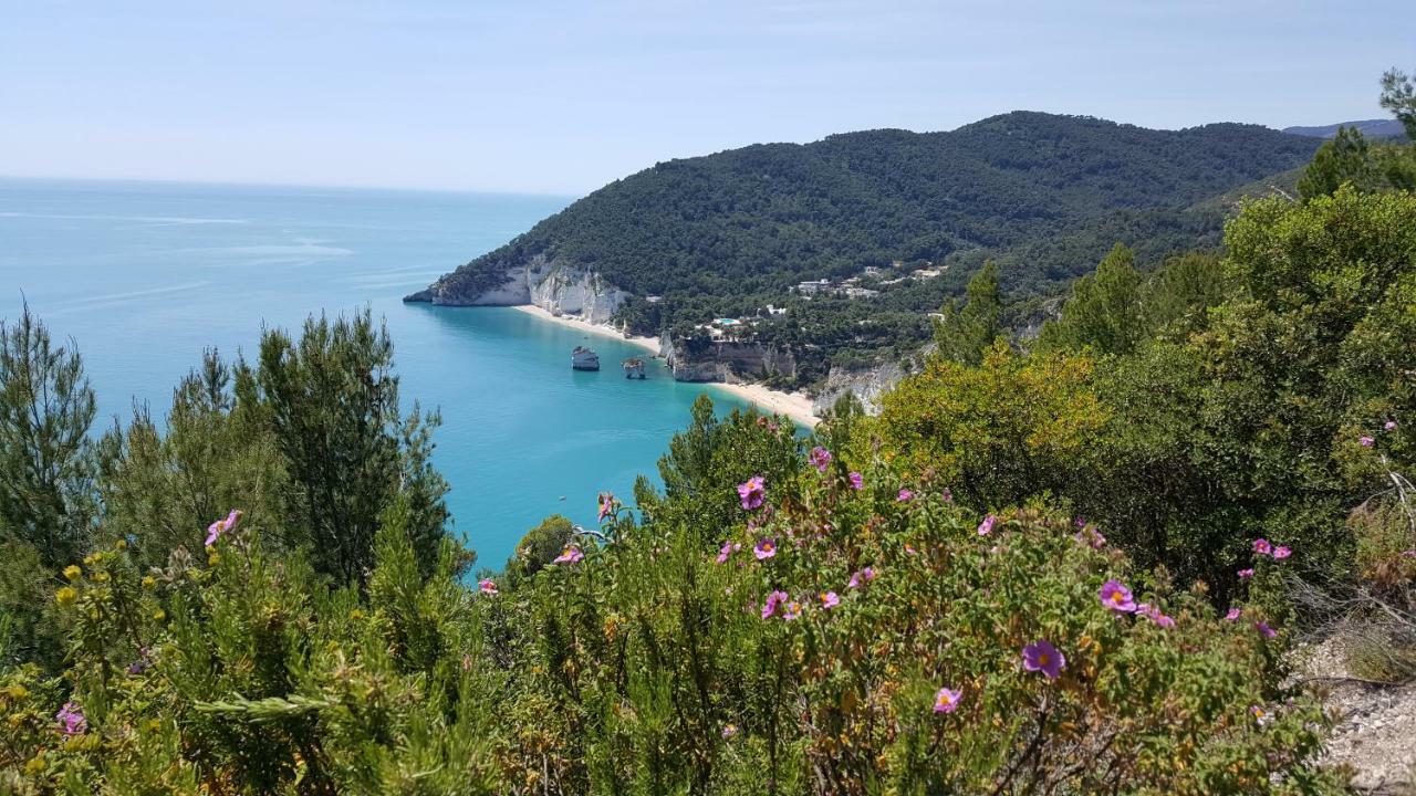 Casa Vacanze MARESOLE Villa Mattinata Esterno foto